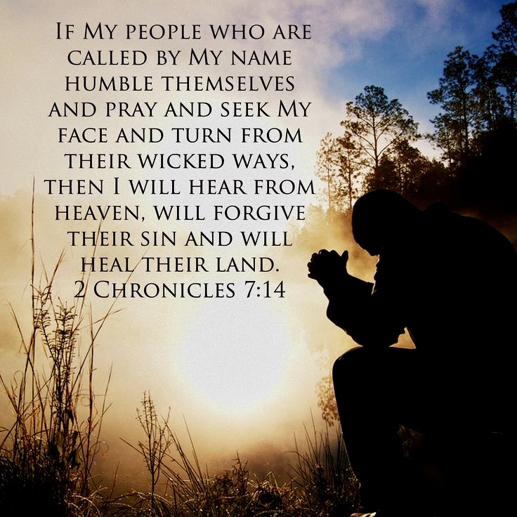 F264C40B-914F-4129-95D6-AB920CEAFAA6_1_201_a