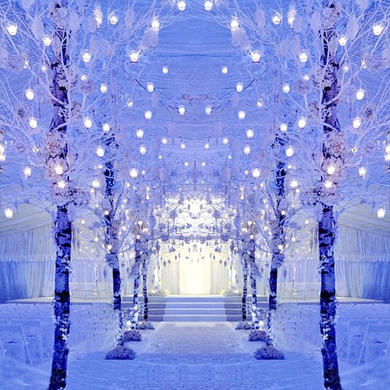 B99AF599-84EE-491E-8FA9-791EA69CD63B_1_201_a