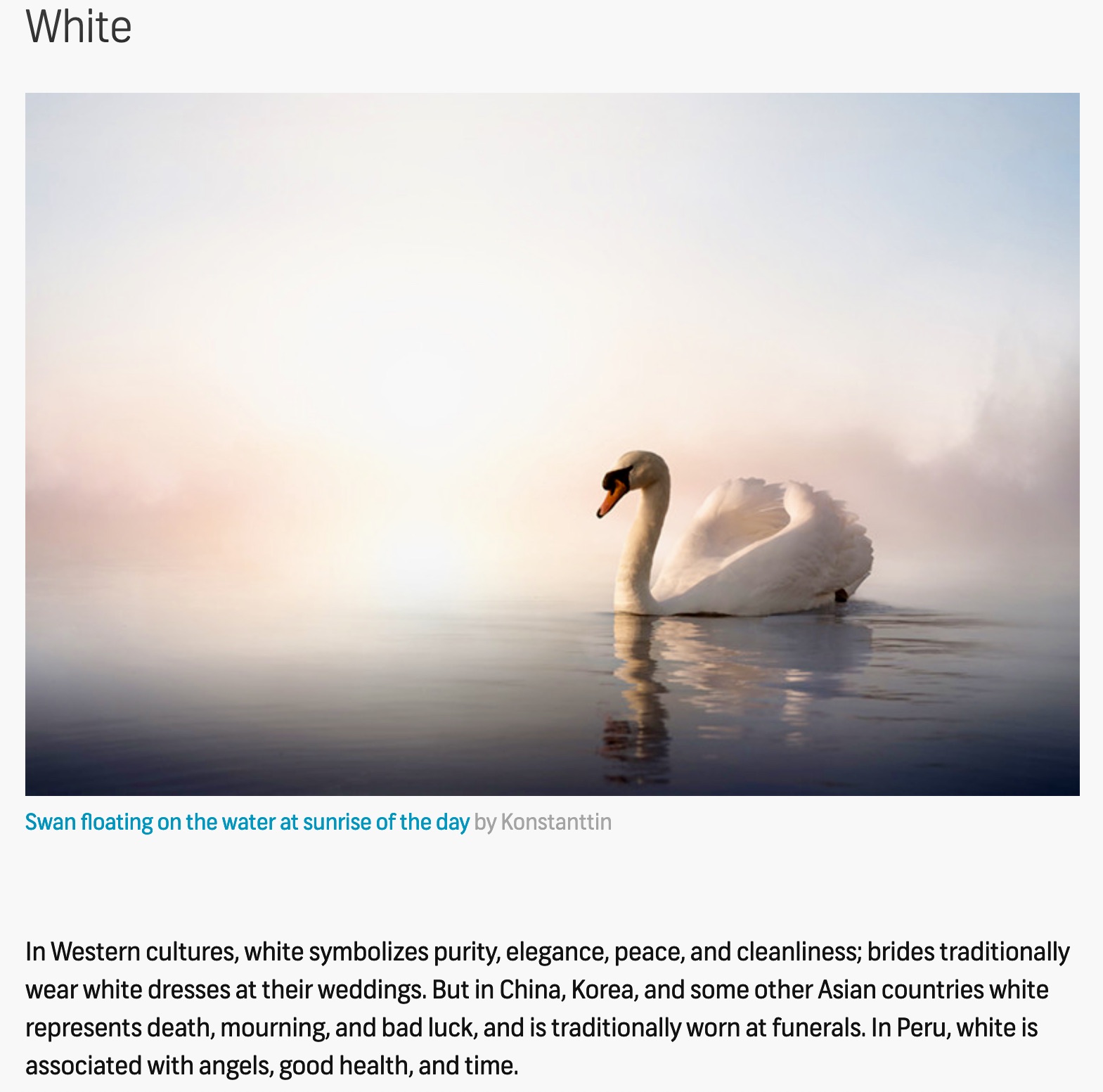 479E3769-ED21-4EAE-A7B2-E0AC79E2192D_1_201_a