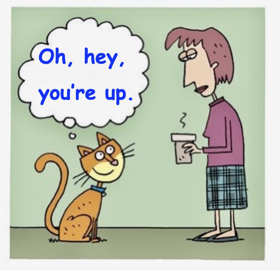 C8D66248-D6AF-4CD9-AE41-75AA0F4A88AF_1_201_a